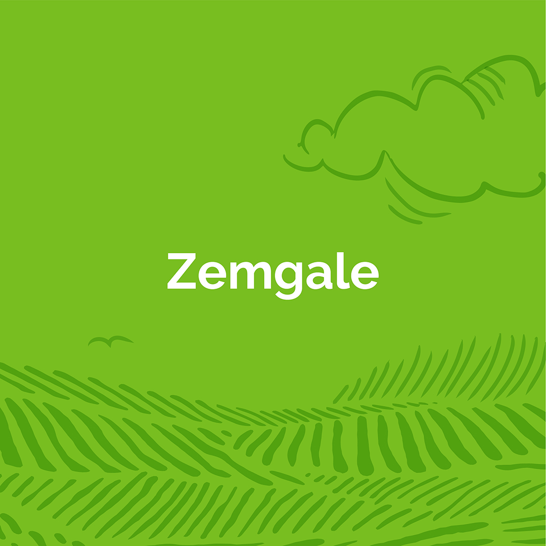 Zemgale ir sagatavojusi veselu programmu...