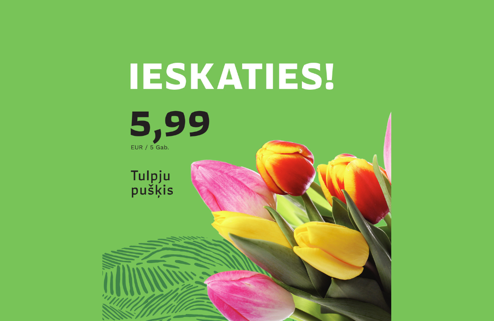 For tulips, go to Virši!🌷